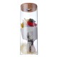 Bloom LED Rose Bottle Lamp Flower Bottles Light with Remote Control Night Light Atmostphere Gift