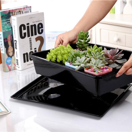 Plants Nursery Tray Long Rectangular Plastic Flower Pot Tray Multi-flesh Seedling Ceramic Pot Tray