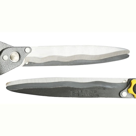 Pruning High Branches Pruning Shears Branches of Fruit Trees Green Garden Scissors Stretch Shears