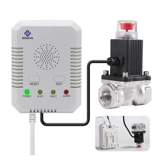 Natural Gas CO Gas Leak Meter Combustible Gas Tester Alarm Determine Tester for Home with Valve