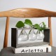 Wood and Glass Creative Hydroponic Living Room Decoration Flower Pot Plant Vase