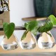 Wood and Glass Creative Hydroponic Living Room Decoration Flower Pot Plant Vase