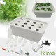 220V Hydroponic System Kit 12 Holes DWC Soilless Cultivation Indoor Water Planting Grow Box