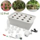 220V Hydroponic System Kit 12 Holes DWC Soilless Cultivation Indoor Water Planting Grow Box