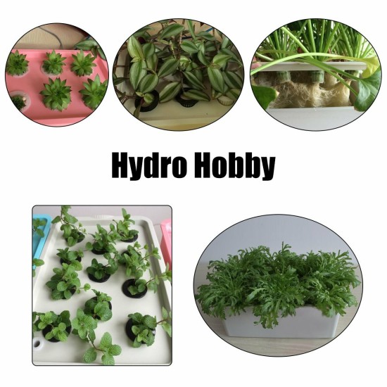 220V Hydroponic System Kit 12 Holes DWC Soilless Cultivation Indoor Water Planting Grow Box