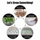 220V Hydroponic System Kit 12 Holes DWC Soilless Cultivation Indoor Water Planting Grow Box