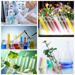 10pcs 12x100mm Lab Chemistry Glassware Borosilicate Glass Teaching Tubes 10pcs 12x100mm Lab Chemistry Glassware Borosilicate Glass Teaching Tubes