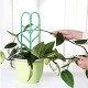 3Pcs Flower Plant Growing Support Frame Bracket Trellis Plants Climbing DIY Vine Rack Tool