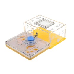 20.2*15*6.5cm Acrylic Sheet Ant Farm Feeding Insects Science Educations 20.2*15*6.5cm Acrylic Sheet Ant Farm Feeding Insects Science Educations