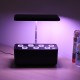 35W Indoor Plant Hydroponics Grow Light LED Garden Light For Plants Flowers Seedling Cultivation