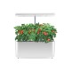 35W Indoor Plant Hydroponics Grow Light LED Garden Light For Plants Flowers Seedling Cultivation