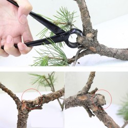 210mm Knob Cutter Beginner Bonsai Tools Concave Cutter Round Edge Cutter 210mm Knob Cutter Beginner Bonsai Tools Concave Cutter Round Edge Cutter