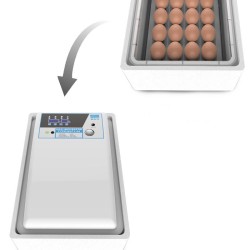 36pcs Eggs Digital Fully Automatic Egg Incubator Poultry Hatcher for Chickens Ducks Goose Birds Temperature & Humility Control Two Batteries 36pcs Eggs Digital Fully Automatic Egg Incubator Poultry Hatcher for Chickens Ducks Goose Birds Temperature & Humility Control Two Batteries