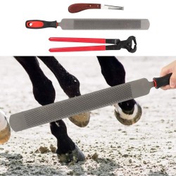 3Pcs Farriers Equestrian Horse Cattle Hoof Nipper Cutter File Rasp Trimming Set 3Pcs Farriers Equestrian Horse Cattle Hoof Nipper Cutter File Rasp Trimming Set