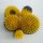  Yellow3 