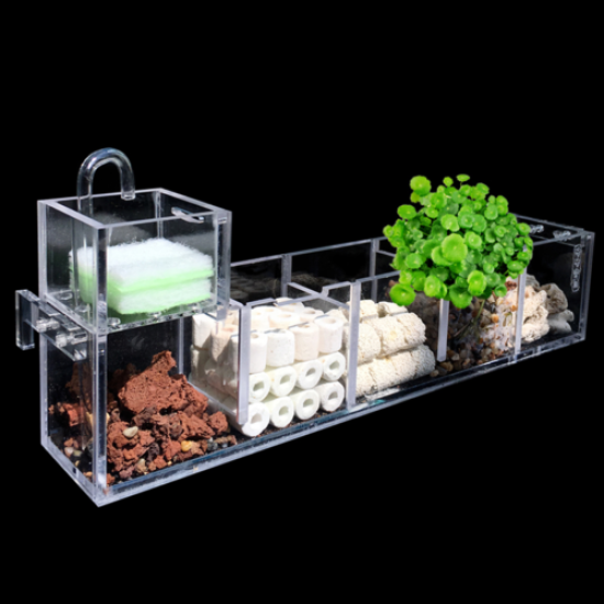 2-6 Grids Acrylic Aquarium Fish Tank External Hang On Filter Box with Water L2