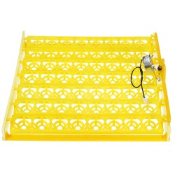 56 Incubator Automatic Eggs Turner Tray With Teching Equipment 220V Motor Farm Tool 56 Incubator Automatic Eggs Turner Tray With Teching Equipment 220V Motor Farm Tool