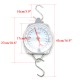 100kg/220lbs Clockface Hanging Scale Weighing Butchering with Hook