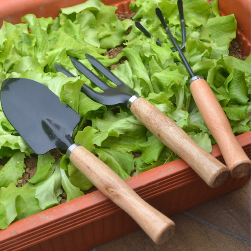 3Pcs-Garden-Hand-Tools-Set-Iron-Gardening-Shovel-Spade-Rake-Trowel-Wood-Handle-1124857-1