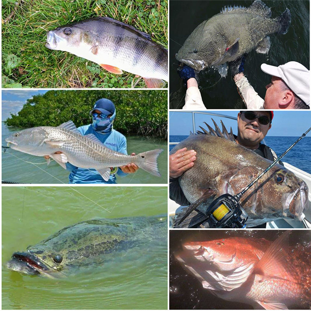 50PCS-Three-color-Fishing-Hooks-Light-Portable-Fishing-Hooks-with-Storage-Box-1342872-2