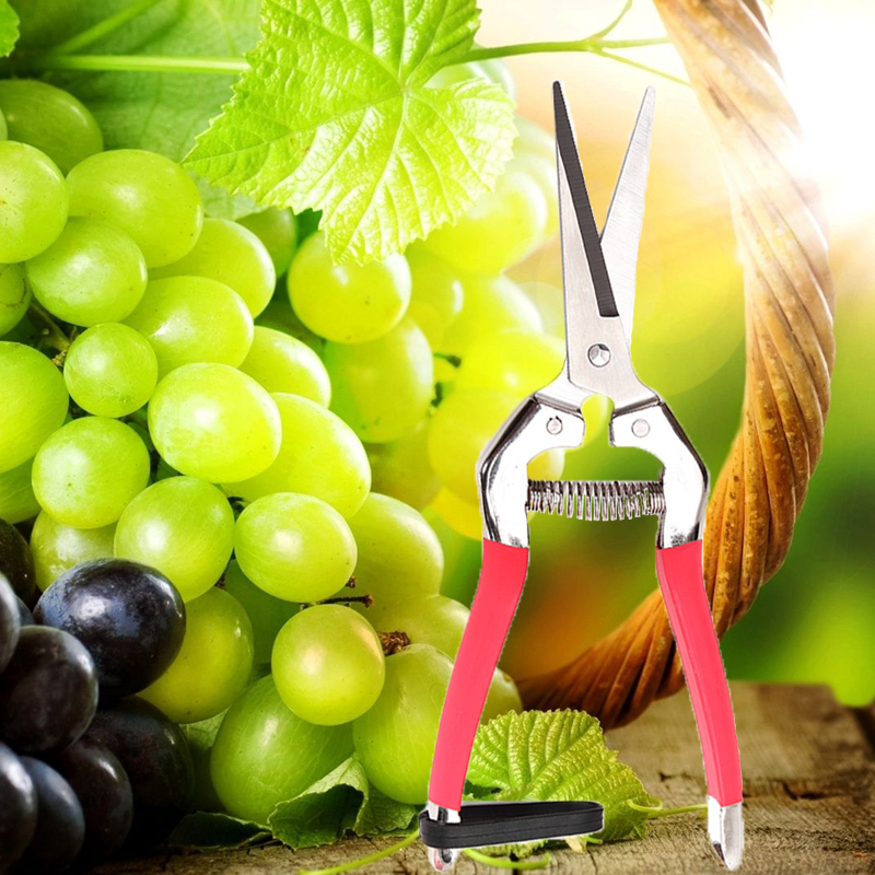 Garden-Pruning-Scissors-Plant-Cutter-Flower-Fruit-Grape-Scissors-1130873-1