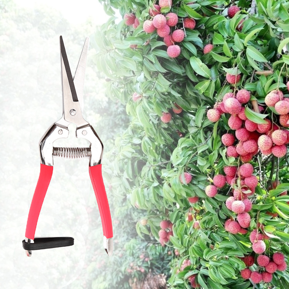 Garden-Pruning-Scissors-Plant-Cutter-Flower-Fruit-Grape-Scissors-1130873-3