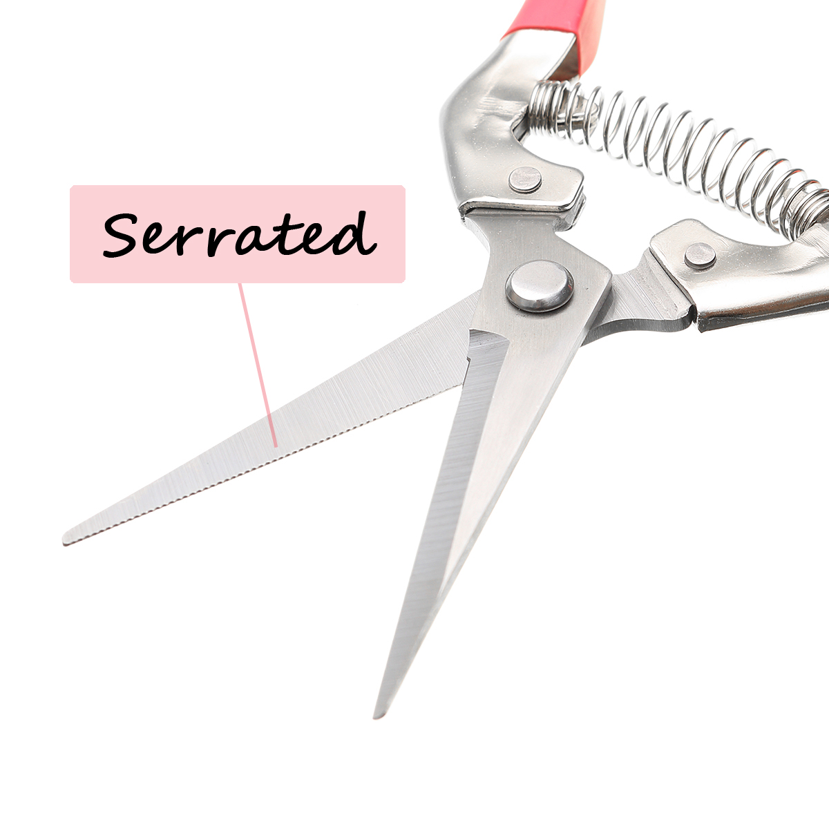Garden-Pruning-Scissors-Plant-Cutter-Flower-Fruit-Grape-Scissors-1130873-7