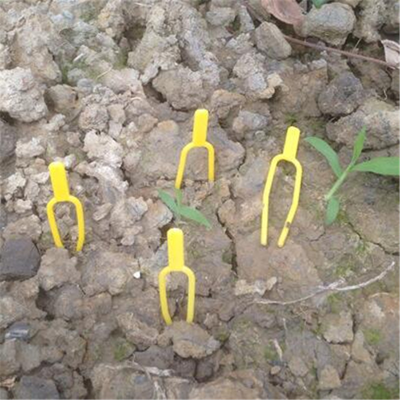 Garden-Tools-100pc-Plastic-Quality-Plant-Clips-Stolons-Fixing-Fastening-Vines-Clamp-for-Farm-Clip-1259524-4