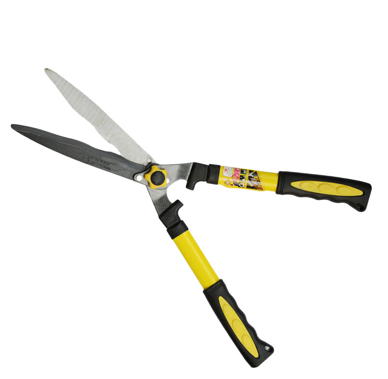 Pruning-High-Branches-Pruning-Shears-Branches-of-Fruit-Trees-Green-Garden-Scissors-Stretch-Shears-1286909-1