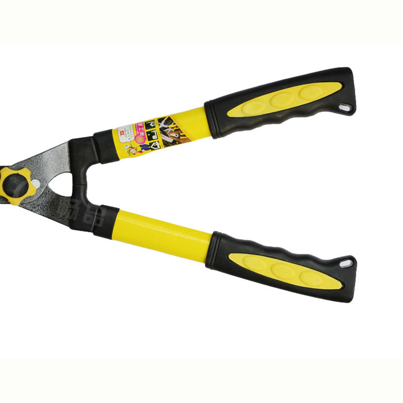 Pruning-High-Branches-Pruning-Shears-Branches-of-Fruit-Trees-Green-Garden-Scissors-Stretch-Shears-1286909-4