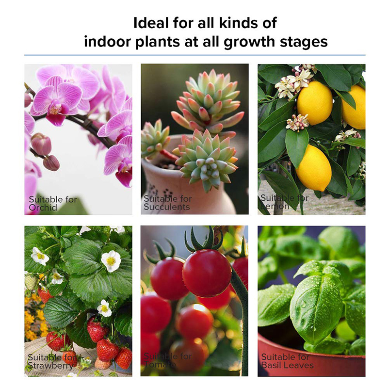 3000W-LED-Grow-Light-13000-Lumens-Plant-Flower-Full-Spectrum-Veg-Flower-Greenhouse-Lamp-1727644-4