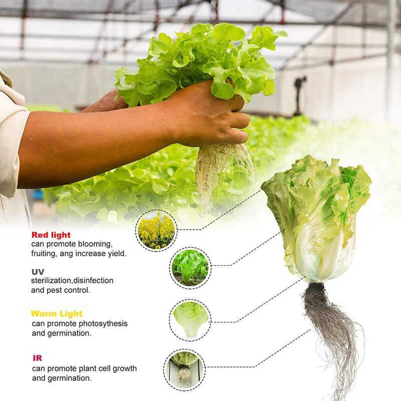 3000W-LED-Grow-Light-13000-Lumens-Plant-Flower-Full-Spectrum-Veg-Flower-Greenhouse-Lamp-1727644-6