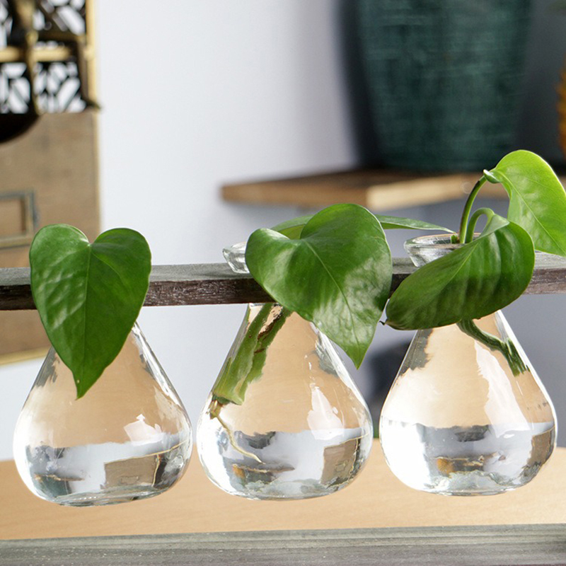 Wood-and-Glass-Creative-Hydroponic-Living-Room-Decoration-Flower-Pot-Plant-Vase-1412584-6