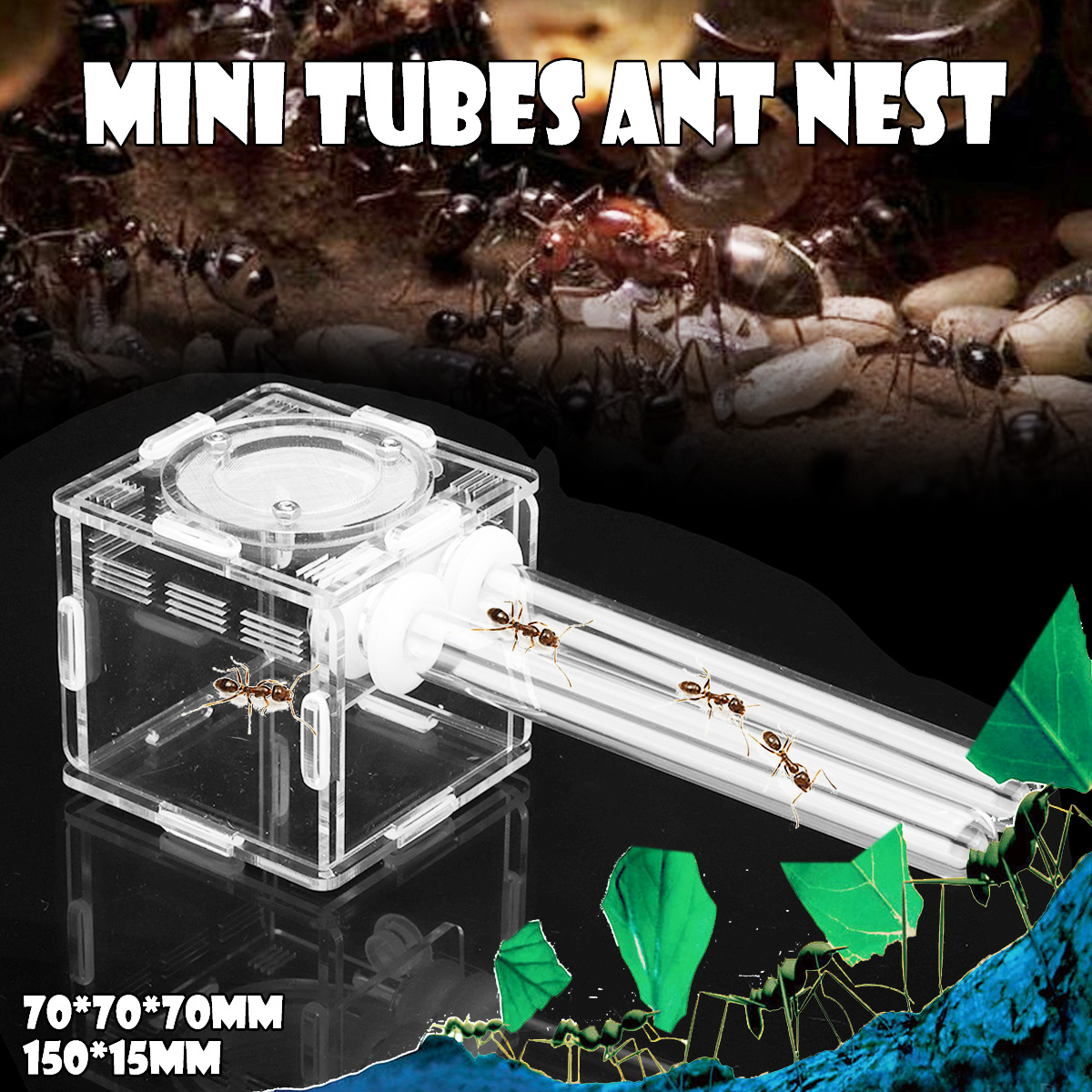 Double-Glass-Tubes-Ant-Nest-with-Active-Zone-Test-Tube-Nest-House-Acrylic-1434255-6