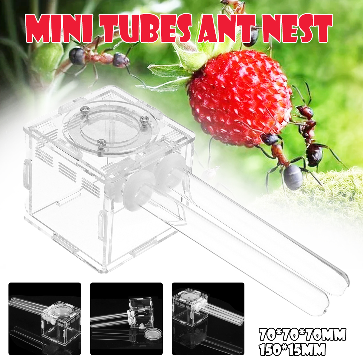 Double-Glass-Tubes-Ant-Nest-with-Active-Zone-Test-Tube-Nest-House-Acrylic-1434255-7