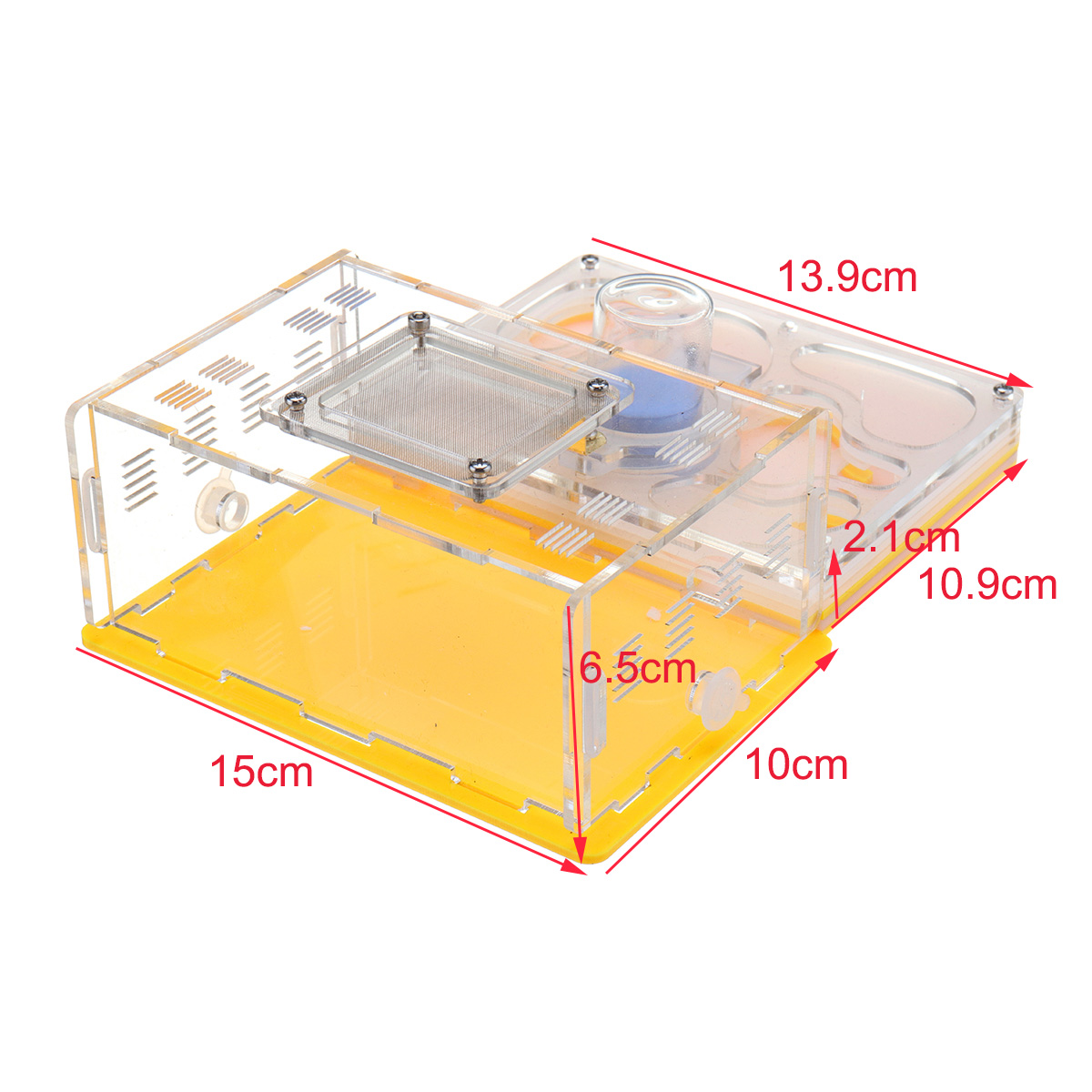 2021565cm-Acrylic-Sheet-Ant-Farm-Feeding-Insects-Science-Educations-1457997-7