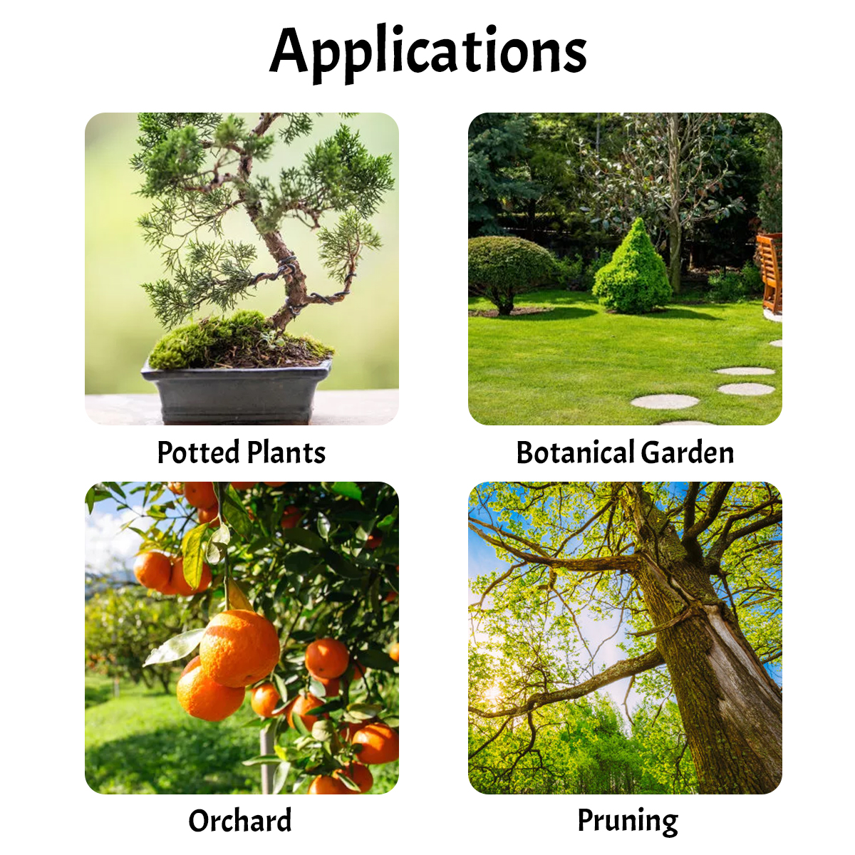 1PCS-Pruning-the-Branches-Scissors-Fruit-Trees-Pruning-the-Branches-Vigorously-Garden-Pruning-Heavy--1907330-14
