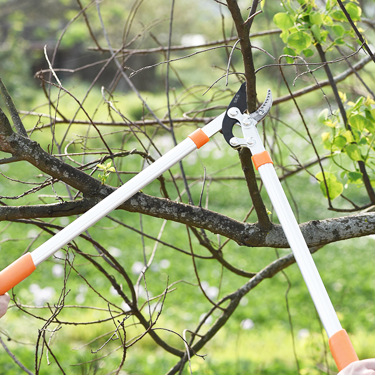 1PCS-Pruning-the-Branches-Scissors-Fruit-Trees-Pruning-the-Branches-Vigorously-Garden-Pruning-Heavy--1907330-15