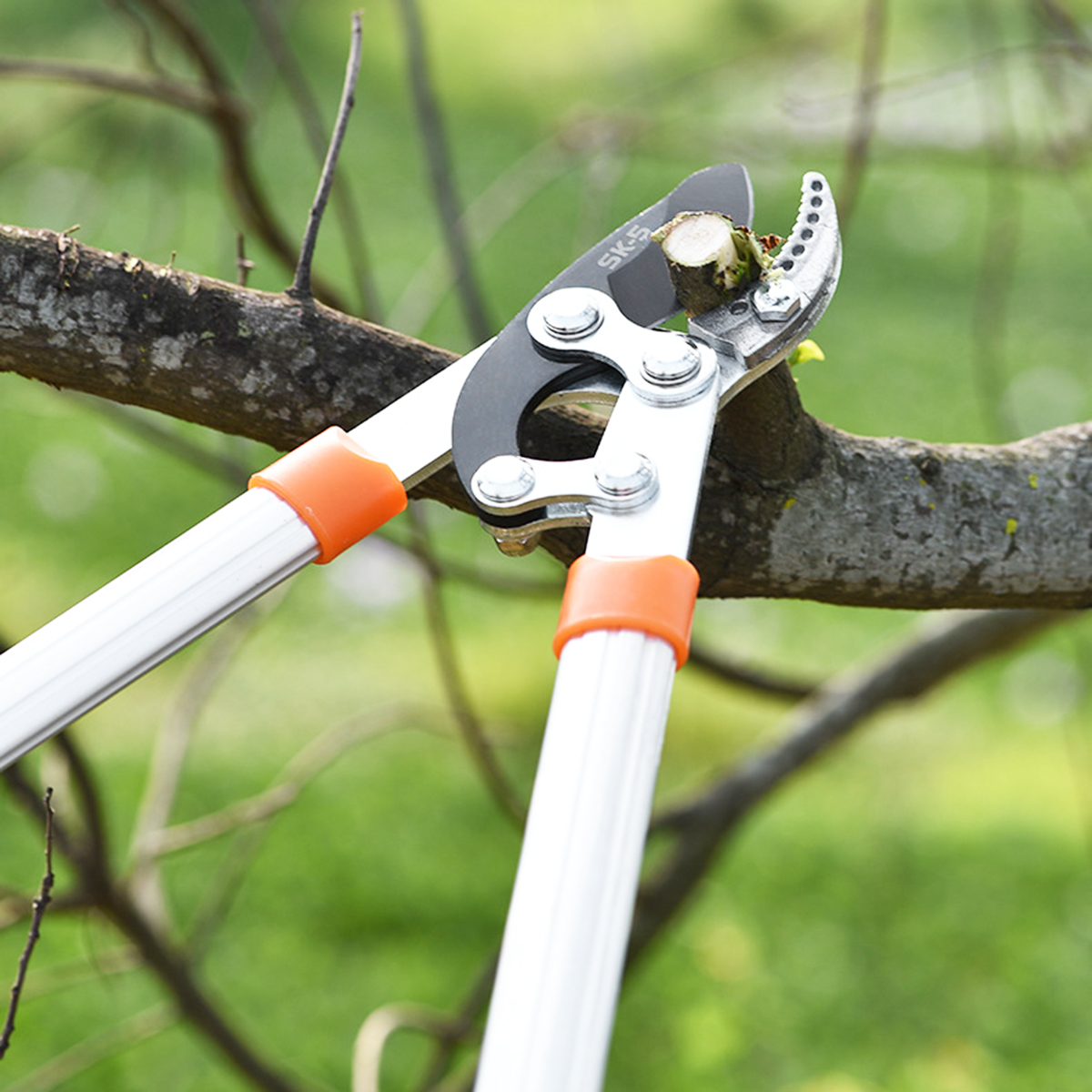 1PCS-Pruning-the-Branches-Scissors-Fruit-Trees-Pruning-the-Branches-Vigorously-Garden-Pruning-Heavy--1907330-16