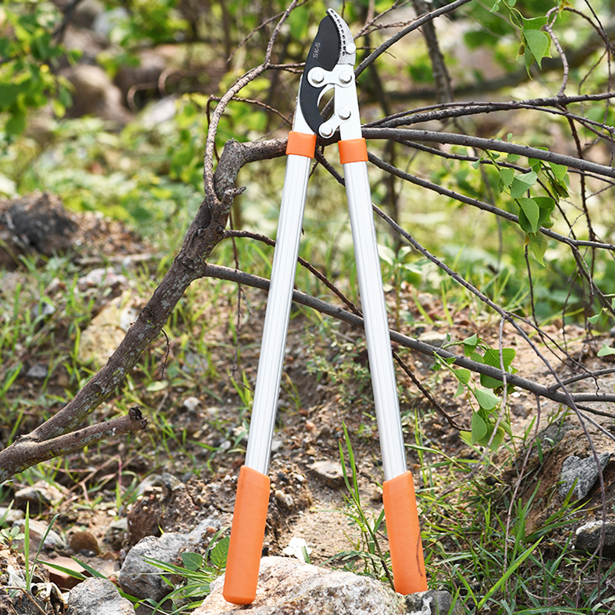 1PCS-Pruning-the-Branches-Scissors-Fruit-Trees-Pruning-the-Branches-Vigorously-Garden-Pruning-Heavy--1907330-18