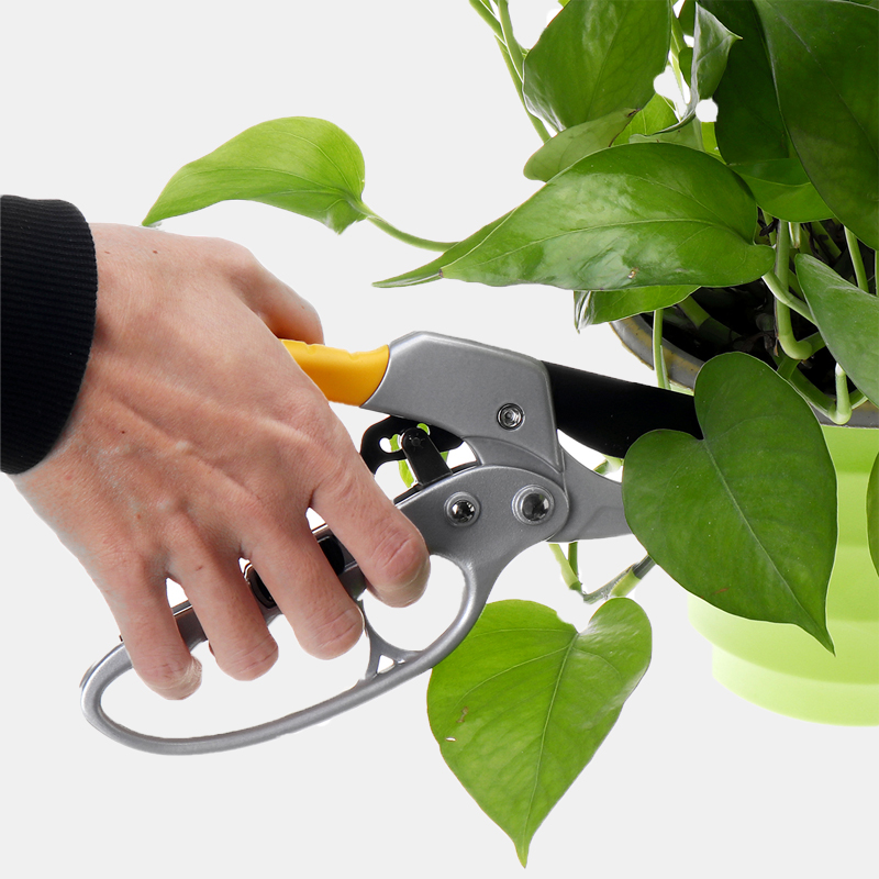 Pruning-Shear-Cutter-Garden-Nursery-Fruit-Trees-Scissor-Grafting-Cutting-Steel-Tools-1626476-3