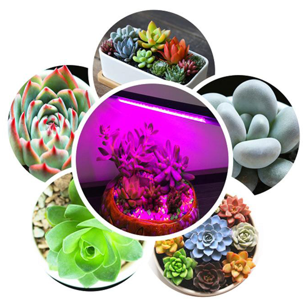 400W-LED-Plant-Hydroponic-Flower-Grow-Light-For-Indoor-Hydro-Plant-Veg-Flower-Plant-Panel-1613354-7