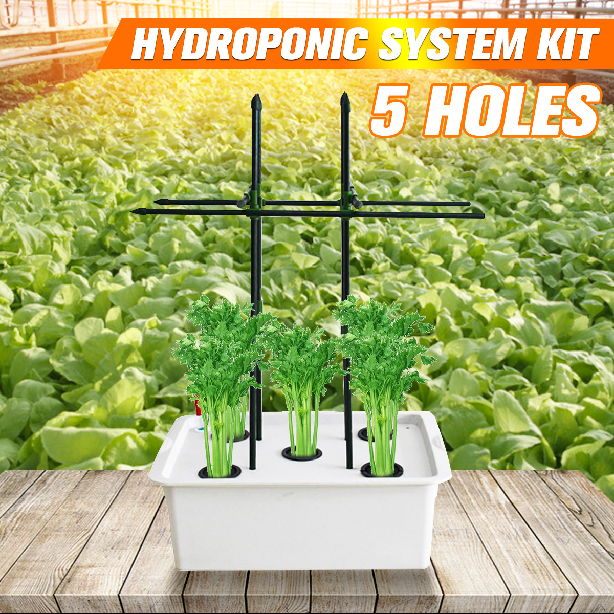 Hydroponic-System-Kit-5-Holes-Nursery-Pot-Planting-Seedling-Grow-Cultivation-Set-1689623-2